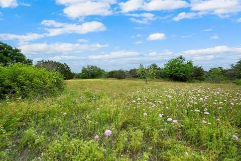 Tbd Old Airport Road, Weatherford, TX 76086