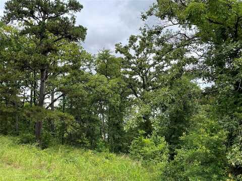 15929 Shepards Glen, Lindale, TX 75771