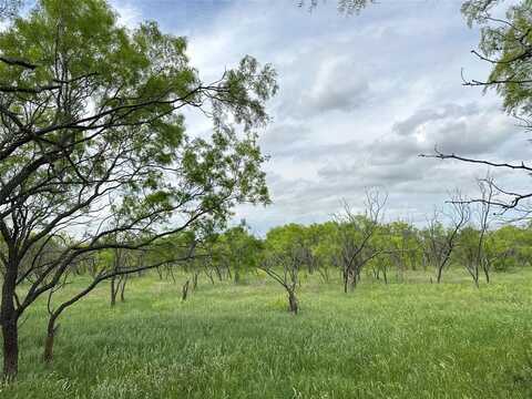 Tbd County RD 100, Abilene, TX 79601