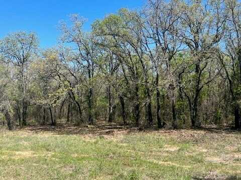 Tbd PR 3858, Poolville, TX 76487