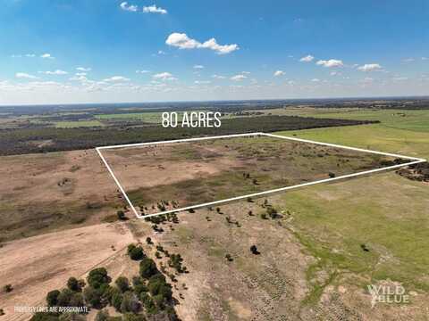 Tbd Co Road 216, Rising Star, TX 76471