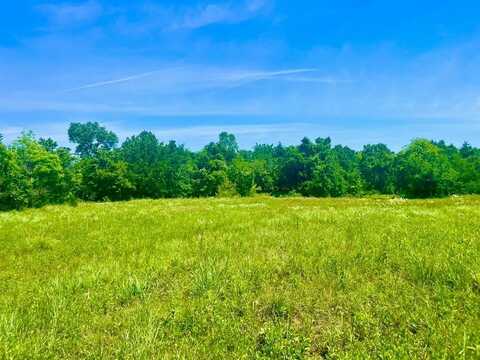 Lot 102 Arlow Road, Poolville, TX 76487