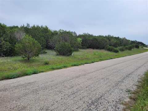 520 Lighthouse Drive, Bluff Dale, TX 76433