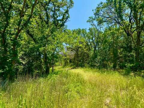 Lot 78 Kilkenny Rd, Poolville, TX 76487