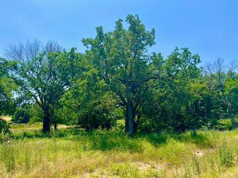 Lot 76 Kilkenny Rd, Poolville, TX 76487