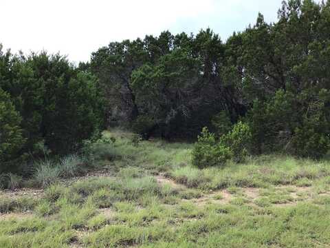 43020 Whisperwood Drive, Whitney, TX 76692