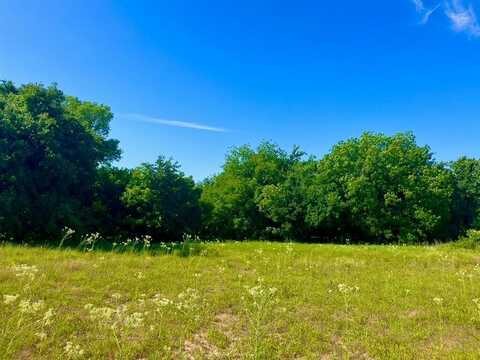 Lot 66 Kilkenny Road, Poolville, TX 76487