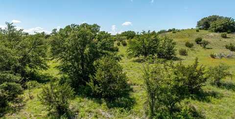 1510 Hidden Oaks Trail, Glen Rose, TX 76043