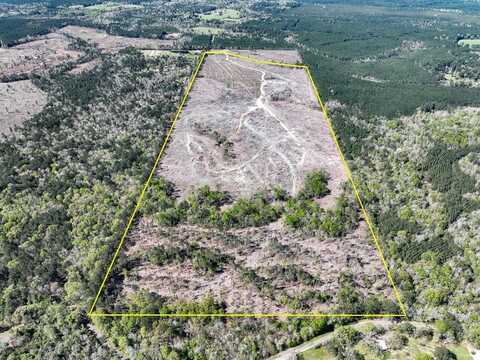 1 County Road 443, Kirbyville, TX 75956