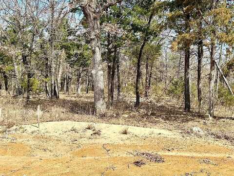 Lot 17 Block A Castle Pines Circle, Gordonville, TX 76245