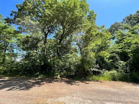 0 Hidalgo Loop, Payne Springs, TX 75156