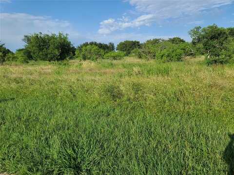 Tbd Lot 31 Bear Path Way, Brownwood, TX 76801