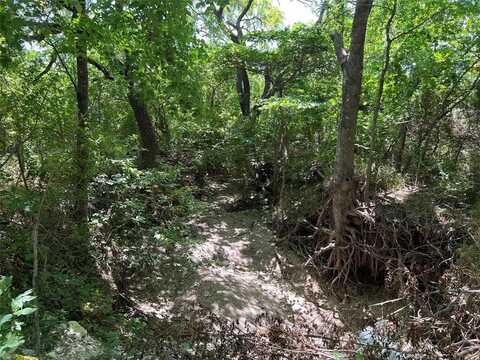 Tbd Bethel Cannon & Pilot Grove Road, Whitewright, TX 75491