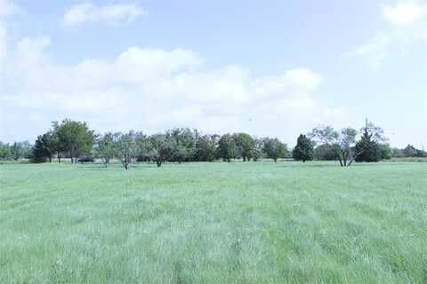 Tbd CR 2625, Wills Point, TX 75169