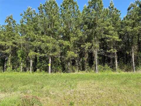 204 Chapel Creek Drive, Princeton, LA 71067