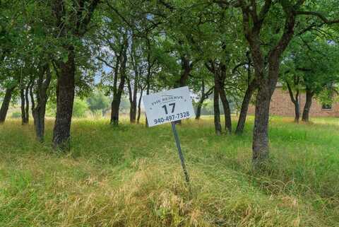 Lot 17 Lakeside Drive, Lipan, TX 76462