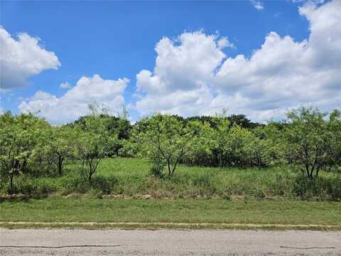 24053 Stonewood Drive, Whitney, TX 76692