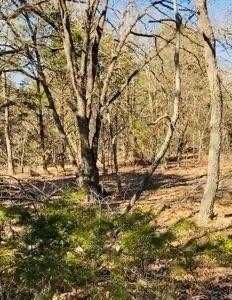 8000 County Road 301, Terrell, TX 75160