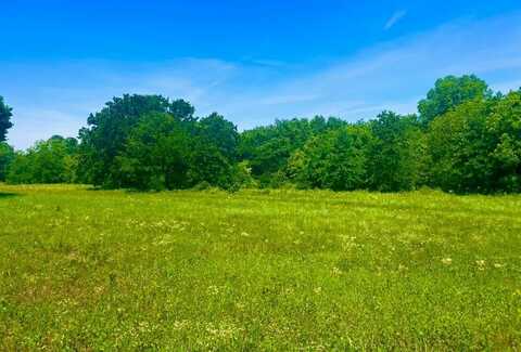 Lot 103 Arlow Rd, Poolville, TX 76487