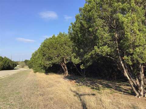 29084 Cedar Hill Dr & Timberwood Drive, Whitney, TX 76692