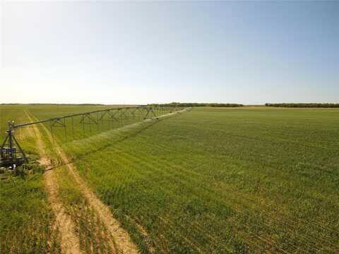 120 Acres CR 174, Rochester, TX 79544