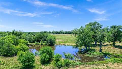 64.8 Ac E Fm 120, Denison, TX 75021