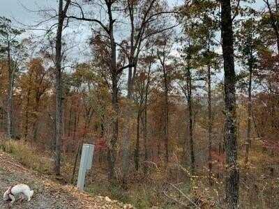 Lot 31 Moonshiner Springs Trail, Broken Bow, OK 74728