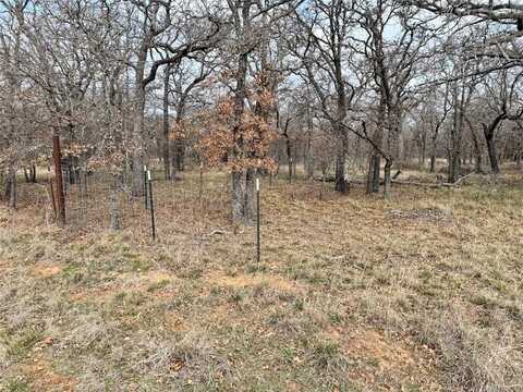 Tbd Lot 14 Oak Bluff Circle, May, TX 76857