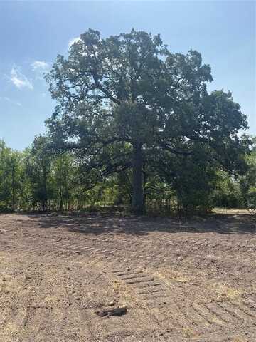 Tbd T K Pkwy, Axtell, TX 76624