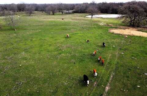 18.5 Ac Hwy 224, Commerce, TX 75428