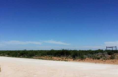 Tbd Steeple O Parkway, Monahans, TX 79756