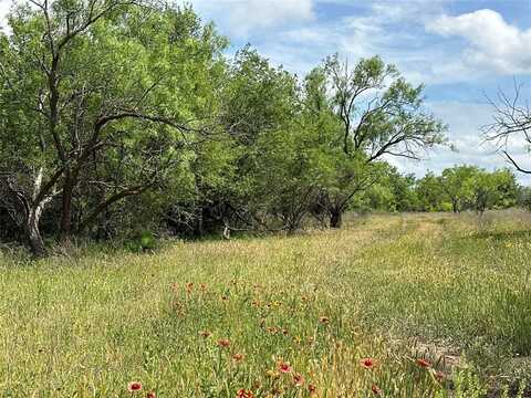 Tract 9 CR 107, Abilene, TX 79601