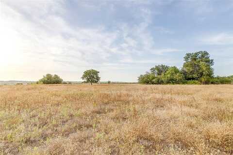 105 Acres Tbd Old Springtown Road, Weatherford, TX 76085