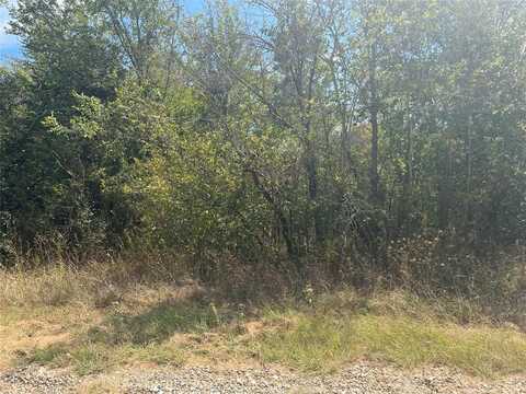 Lot 74 Raven Wood Drive, Trinidad, TX 75163