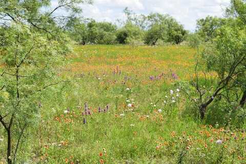 Tbd Farm Market 586 Road, Bangs, TX 76823