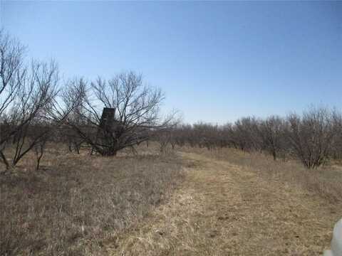 Lot 5 Old Joy Shannon, Bluegrove, TX 76352