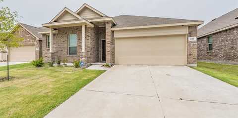 230 Autumn Sage Lane, Princeton, TX 75407