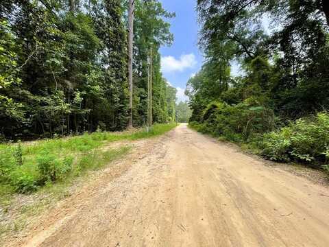 138 Bill Monroe Road, Livingston, TX 77351