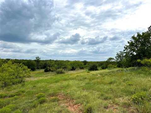 Tbd White Wolf Court, Mingus, TX 76463