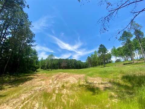 Tbd County Road 3103, Gladewater, TX 75647