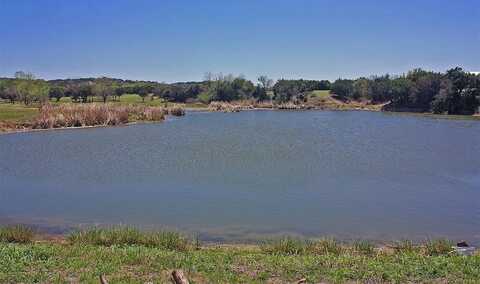 Lot 1 Mary Kay Court, Nemo, TX 76070