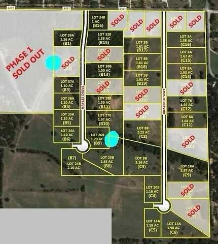 138 Braleigh Way, Paradise, TX 76073