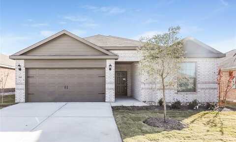 111 Palomino Bend Drive, Newark, TX 76071