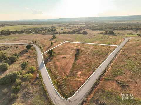 Lot 102 New Hope Road, Palo Pinto, TX 76474