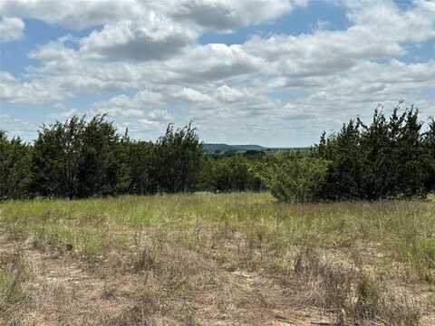 Tbd County Road 234, Hico, TX 76457