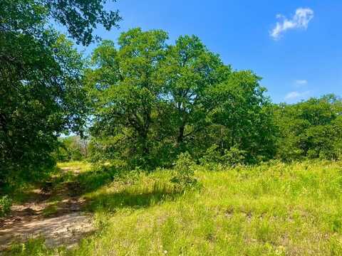 Lot 42 Antrim Ct, Poolville, TX 76487