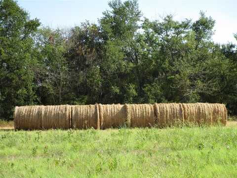 Tbd County Rd 1082, Celeste, TX 75423