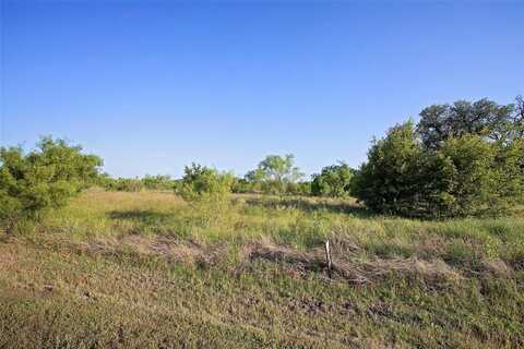 Lot 447 Indigo Bush Court, Graford, TX 76449