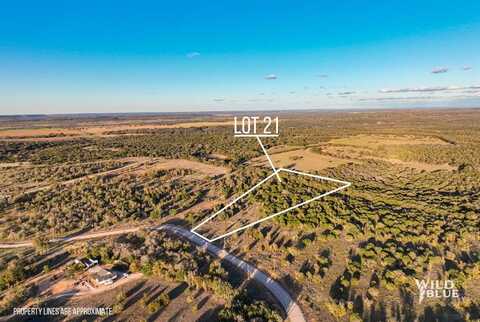 Lot 21 New Hope Court, Santo, TX 76474