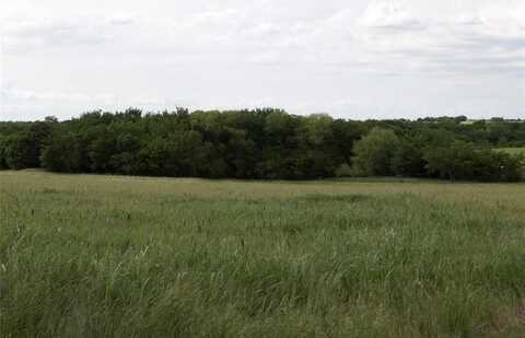 Tbd2 County Road 173, Celina, TX 75009